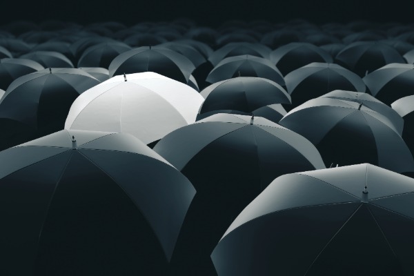 a collection of raised umbrellas with one stand out white umbrella